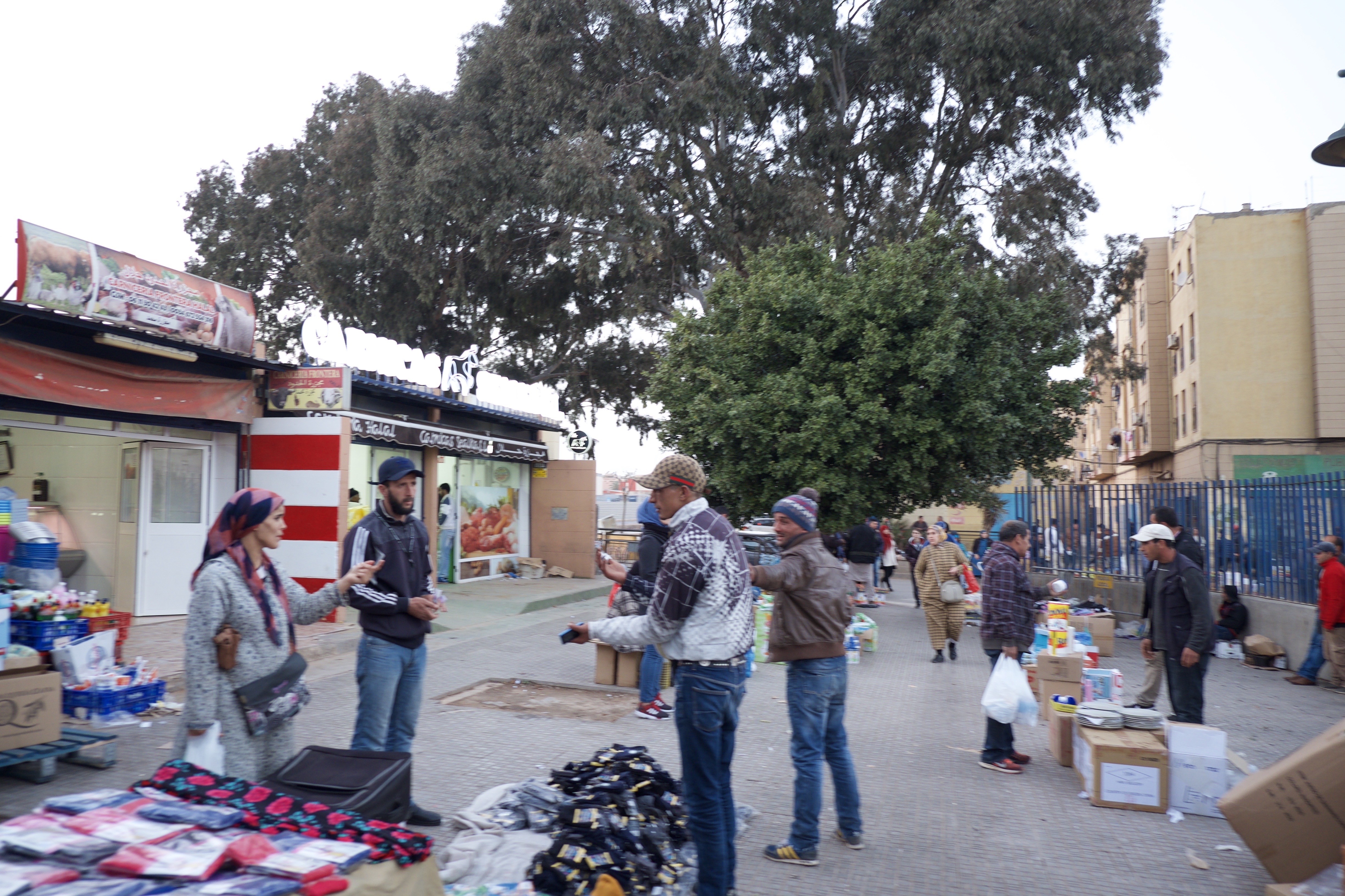 How to survive Image